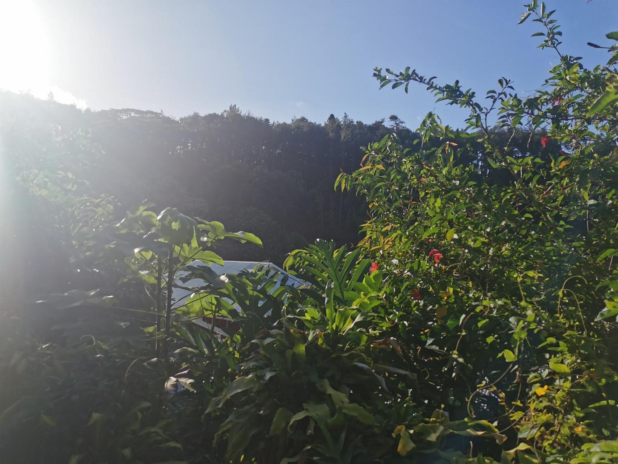 UturoaFare Kairos公寓 外观 照片